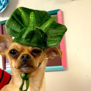 Pup Halloween costumes